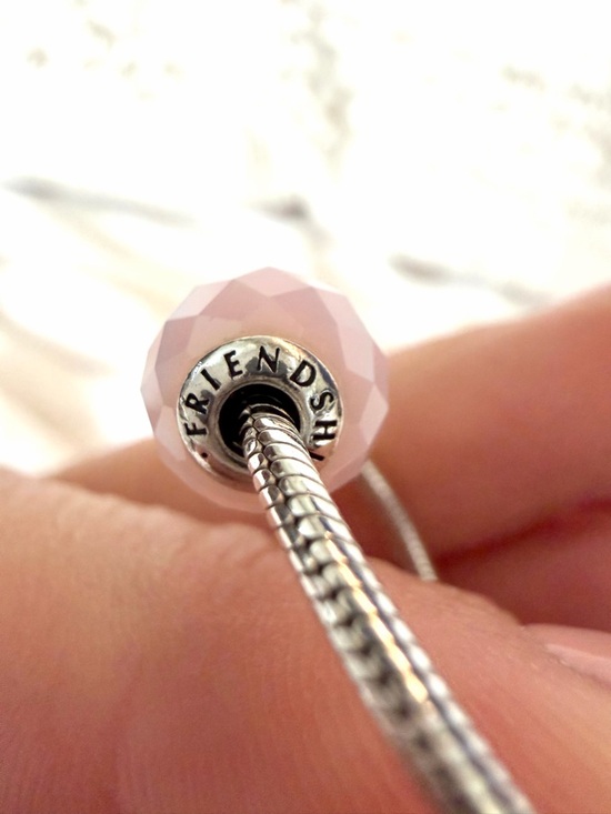 RARE❗️ Retired PANDORA ESSENCE Set of 2 Bracelets & 4 Charms - Picture 9 of 17